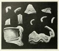 An illustration from Mitteilungen der K.K. Zentral-Kommission für Erforschung und Erhaltung Kunst- und Historischen Denkmale (1903)