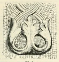 Picture 21 of 40 from Mittheilungen der K.K. Central-Commission zur Erforschung und Erhaltung der Baudenkmale (1856), leaf 203