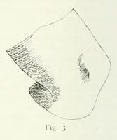 An illustration from Mittheilungen der K.K. Central-Commission zur Erforschung und Erhaltung der Kunst- und Historischen Denkmale (1875)