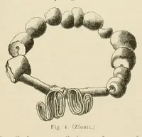 Picture 28 of 38 from Mittheilungen der K.K. Central-Commission zur Erforschung und Erhaltung der Kunst- und Historischen Denkmale (1875), leaf 245
