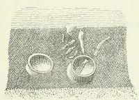An illustration from Mittheilungen der K.K. Central-Commission zur Erforschung und Erhaltung der Kunst- und Historischen Denkmale (1875)