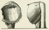 An illustration from Mittheilungen der K.K. Central-Commission zur Erforschung und Erhaltung der Kunst- und Historischen Denkmale (1875)