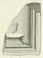 Picture 21 of 38 from Mittheilungen der K.K. Central-Commission zur Erforschung und Erhaltung der Kunst- und Historischen Denkmale (1875), leaf 251