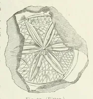 Picture 11 of 38 from Mittheilungen der K.K. Central-Commission zur Erforschung und Erhaltung der Kunst- und Historischen Denkmale (1875), leaf 101
