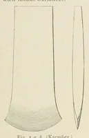 Picture 7 of 34 from Mittheilungen der K.K. Central-Commission zur Erforschung und Erhaltung der Kunst- und Historischen Denkmale (1875), leaf 63