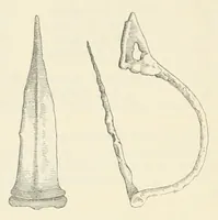 An illustration from Mittheilungen der K.K. Central-Commission zur Erforschung und Erhaltung der Kunst- und Historischen Denkmale (1875)