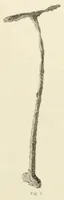 Picture 27 of 36 from Mittheilungen der K.K. Central-Commission zur Erforschung und Erhaltung der Kunst- und Historischen Denkmale (1875), leaf 267
