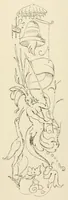 An illustration from Mittheilungen der K.K. Central-Commission zur Erforschung und Erhaltung der Kunst- und Historischen Denkmale (1875)