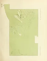 Picture 20 of 38 from Mittheilungen der K.K. Central-Commission zur Erforschung und Erhaltung der Kunst- und Historischen Denkmale (1875), leaf 187