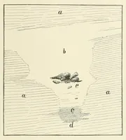 Picture 23 of 38 from Mittheilungen der K.K. Central-Commission zur Erforschung und Erhaltung der Kunst- und Historischen Denkmale (1875), leaf 209