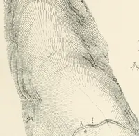 An illustration from Mittheilungen der K.K. Central-Commission zur Erforschung und Erhaltung der Kunst- und Historischen Denkmale (1875)
