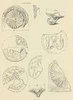 An illustration from Mittheilungen der K.K. Central-Commission zur Erforschung und Erhaltung der Kunst- und Historischen Denkmale (1875)