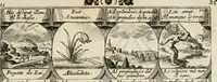 Picture 68 of 181 from M. Laurentii Wolfgangi Woyttens Emblematischer Parnassus : worauf die Musen, ihre Blumen-Lese, zu allerhand Freuden und Trauer-Kräntzen halten : um, den Lob-werthen Tugend-Chor, durch angenehme Rosen : hergegen, das ungezähmte Laster-Thun, mit wildem Dorn- und Distel-Flor, zu krönen : nach specialem Verlangen, in einem Gefilde, von funffzehen Hundert in dreyen verschiedlichen Theilen verfassten .. (1727), leaf 116