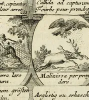 Picture 85 of 181 from M. Laurentii Wolfgangi Woyttens Emblematischer Parnassus : worauf die Musen, ihre Blumen-Lese, zu allerhand Freuden und Trauer-Kräntzen halten : um, den Lob-werthen Tugend-Chor, durch angenehme Rosen : hergegen, das ungezähmte Laster-Thun, mit wildem Dorn- und Distel-Flor, zu krönen : nach specialem Verlangen, in einem Gefilde, von funffzehen Hundert in dreyen verschiedlichen Theilen verfassten .. (1727), leaf 130