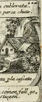 An illustration from M. Laurentii Wolfgangi Woyttens Emblematischer Parnassus : worauf die Musen, ihre Blumen-Lese, zu allerhand Freuden und Trauer-Kräntzen halten : um, den Lob-werthen Tugend-Chor, durch angenehme Rosen : hergegen, das ungezähmte Laster-Thun, mit wildem Dorn- und Distel-Flor, zu krönen : nach specialem Verlangen, in einem Gefilde, von funffzehen Hundert in dreyen verschiedlichen Theilen verfassten .. (1727)