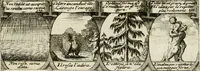 Picture 132 of 181 from M. Laurentii Wolfgangi Woyttens Emblematischer Parnassus : worauf die Musen, ihre Blumen-Lese, zu allerhand Freuden und Trauer-Kräntzen halten : um, den Lob-werthen Tugend-Chor, durch angenehme Rosen : hergegen, das ungezähmte Laster-Thun, mit wildem Dorn- und Distel-Flor, zu krönen : nach specialem Verlangen, in einem Gefilde, von funffzehen Hundert in dreyen verschiedlichen Theilen verfassten .. (1727), leaf 204