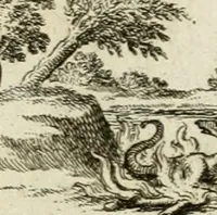 An illustration from M. Laurentii Wolfgangi Woyttens Emblematischer Parnassus : worauf die Musen, ihre Blumen-Lese, zu allerhand Freuden und Trauer-Kräntzen halten : um, den Lob-werthen Tugend-Chor, durch angenehme Rosen : hergegen, das ungezähmte Laster-Thun, mit wildem Dorn- und Distel-Flor, zu krönen : nach specialem Verlangen, in einem Gefilde, von funffzehen Hundert in dreyen verschiedlichen Theilen verfassten .. (1727)
