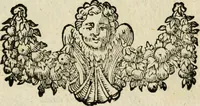 Picture 180 of 181 from M. Laurentii Wolfgangi Woyttens Emblematischer Parnassus : worauf die Musen, ihre Blumen-Lese, zu allerhand Freuden und Trauer-Kräntzen halten : um, den Lob-werthen Tugend-Chor, durch angenehme Rosen : hergegen, das ungezähmte Laster-Thun, mit wildem Dorn- und Distel-Flor, zu krönen : nach specialem Verlangen, in einem Gefilde, von funffzehen Hundert in dreyen verschiedlichen Theilen verfassten .. (1727), leaf 265