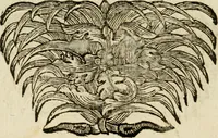 An illustration from M. Laurentii Wolfgangi Woyttens Emblematischer Parnassus : worauf die Musen, ihre Blumen-Lese, zu allerhand Freuden und Trauer-Kräntzen halten : um, den Lob-werthen Tugend-Chor, durch angenehme Rosen : hergegen, das ungezähmte Laster-Thun, mit wildem Dorn- und Distel-Flor, zu krönen : nach specialem Verlangen, in einem Gefilde, von funffzehen Hundert in dreyen verschiedlichen Theilen verfassten .. (1727)