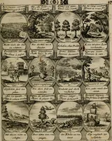 Picture 11 of 42 from M. Laurentii Wolfgangi Woyttens Emblematischer Parnassus : worauf die Musen, ihre Blumen-lese zu allerhand Freuden und Trauer-kränken halten. Um den Lob-werthen Tugend-chor durch angenehme rosen hergegen das ungezähmte Laster-thun mit wildem Dorn- und Distel-flor zu krönen (1727), leaf 30