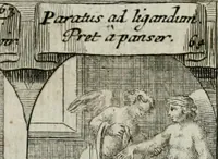 Picture 57 of 156 from M. Laurentii Wolfgangi Woyttens Emblematischer Parnassus : worauf die Musen, ihre Blumen-lese zu allerhand Freuden und Trauer-kränken halten. Um den Lob-werthen Tugend-chor durch angenehme rosen hergegen das ungezähmte Laster-thun mit wildem Dorn- und Distel-flor zu krönen (1727), leaf 108