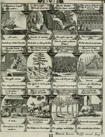 Picture 91 of 156 from M. Laurentii Wolfgangi Woyttens Emblematischer Parnassus : worauf die Musen, ihre Blumen-lese zu allerhand Freuden und Trauer-kränken halten. Um den Lob-werthen Tugend-chor durch angenehme rosen hergegen das ungezähmte Laster-thun mit wildem Dorn- und Distel-flor zu krönen (1727), leaf 156