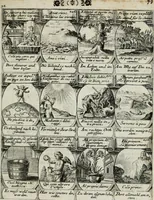 Picture 99 of 156 from M. Laurentii Wolfgangi Woyttens Emblematischer Parnassus : worauf die Musen, ihre Blumen-lese zu allerhand Freuden und Trauer-kränken halten. Um den Lob-werthen Tugend-chor durch angenehme rosen hergegen das ungezähmte Laster-thun mit wildem Dorn- und Distel-flor zu krönen (1727), leaf 172