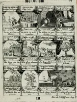 Picture 112 of 156 from M. Laurentii Wolfgangi Woyttens Emblematischer Parnassus : worauf die Musen, ihre Blumen-lese zu allerhand Freuden und Trauer-kränken halten. Um den Lob-werthen Tugend-chor durch angenehme rosen hergegen das ungezähmte Laster-thun mit wildem Dorn- und Distel-flor zu krönen (1727), leaf 196