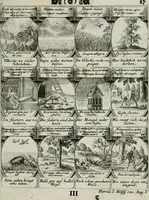 Picture 113 of 156 from M. Laurentii Wolfgangi Woyttens Emblematischer Parnassus : worauf die Musen, ihre Blumen-lese zu allerhand Freuden und Trauer-kränken halten. Um den Lob-werthen Tugend-chor durch angenehme rosen hergegen das ungezähmte Laster-thun mit wildem Dorn- und Distel-flor zu krönen (1727), leaf 198