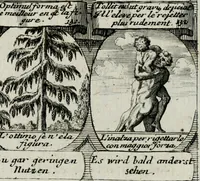 Picture 118 of 156 from M. Laurentii Wolfgangi Woyttens Emblematischer Parnassus : worauf die Musen, ihre Blumen-lese zu allerhand Freuden und Trauer-kränken halten. Um den Lob-werthen Tugend-chor durch angenehme rosen hergegen das ungezähmte Laster-thun mit wildem Dorn- und Distel-flor zu krönen (1727), leaf 206
