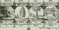 Picture 125 of 156 from M. Laurentii Wolfgangi Woyttens Emblematischer Parnassus : worauf die Musen, ihre Blumen-lese zu allerhand Freuden und Trauer-kränken halten. Um den Lob-werthen Tugend-chor durch angenehme rosen hergegen das ungezähmte Laster-thun mit wildem Dorn- und Distel-flor zu krönen (1727), leaf 218