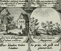 Picture 129 of 156 from M. Laurentii Wolfgangi Woyttens Emblematischer Parnassus : worauf die Musen, ihre Blumen-lese zu allerhand Freuden und Trauer-kränken halten. Um den Lob-werthen Tugend-chor durch angenehme rosen hergegen das ungezähmte Laster-thun mit wildem Dorn- und Distel-flor zu krönen (1727), leaf 224