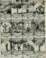 Picture 137 of 156 from M. Laurentii Wolfgangi Woyttens Emblematischer Parnassus : worauf die Musen, ihre Blumen-lese zu allerhand Freuden und Trauer-kränken halten. Um den Lob-werthen Tugend-chor durch angenehme rosen hergegen das ungezähmte Laster-thun mit wildem Dorn- und Distel-flor zu krönen (1727), leaf 240