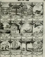 Picture 138 of 156 from M. Laurentii Wolfgangi Woyttens Emblematischer Parnassus : worauf die Musen, ihre Blumen-lese zu allerhand Freuden und Trauer-kränken halten. Um den Lob-werthen Tugend-chor durch angenehme rosen hergegen das ungezähmte Laster-thun mit wildem Dorn- und Distel-flor zu krönen (1727), leaf 242
