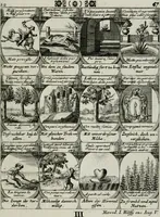 Picture 141 of 156 from M. Laurentii Wolfgangi Woyttens Emblematischer Parnassus : worauf die Musen, ihre Blumen-lese zu allerhand Freuden und Trauer-kränken halten. Um den Lob-werthen Tugend-chor durch angenehme rosen hergegen das ungezähmte Laster-thun mit wildem Dorn- und Distel-flor zu krönen (1727), leaf 248