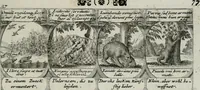 Picture 149 of 156 from M. Laurentii Wolfgangi Woyttens Emblematischer Parnassus : worauf die Musen, ihre Blumen-lese zu allerhand Freuden und Trauer-kränken halten. Um den Lob-werthen Tugend-chor durch angenehme rosen hergegen das ungezähmte Laster-thun mit wildem Dorn- und Distel-flor zu krönen (1727), leaf 258