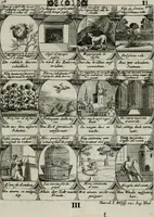 Picture 152 of 156 from M. Laurentii Wolfgangi Woyttens Emblematischer Parnassus : worauf die Musen, ihre Blumen-lese zu allerhand Freuden und Trauer-kränken halten. Um den Lob-werthen Tugend-chor durch angenehme rosen hergegen das ungezähmte Laster-thun mit wildem Dorn- und Distel-flor zu krönen (1727), leaf 262