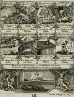 Picture 156 of 156 from M. Laurentii Wolfgangi Woyttens Emblematischer Parnassus : worauf die Musen, ihre Blumen-lese zu allerhand Freuden und Trauer-kränken halten. Um den Lob-werthen Tugend-chor durch angenehme rosen hergegen das ungezähmte Laster-thun mit wildem Dorn- und Distel-flor zu krönen (1727), leaf 268
