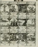 Picture 22 of 156 from M. Laurentii Wolfgangi Woyttens Emblematischer Parnassus : worauf die Musen, ihre Blumen-lese zu allerhand Freuden und Trauer-kränken halten. Um den Lob-werthen Tugend-chor durch angenehme rosen hergegen das ungezähmte Laster-thun mit wildem Dorn- und Distel-flor zu krönen (1727), leaf 48