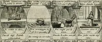 Picture 40 of 156 from M. Laurentii Wolfgangi Woyttens Emblematischer Parnassus : worauf die Musen, ihre Blumen-lese zu allerhand Freuden und Trauer-kränken halten. Um den Lob-werthen Tugend-chor durch angenehme rosen hergegen das ungezähmte Laster-thun mit wildem Dorn- und Distel-flor zu krönen (1727), leaf 80