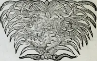 Picture 48 of 156 from M. Laurentii Wolfgangi Woyttens Emblematischer Parnassus : worauf die Musen, ihre Blumen-lese zu allerhand Freuden und Trauer-kränken halten. Um den Lob-werthen Tugend-chor durch angenehme rosen hergegen das ungezähmte Laster-thun mit wildem Dorn- und Distel-flor zu krönen (1727), leaf 91
