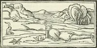 An illustration from M.L. Vitrvuio Pollione Di architettura : dal vero esemplare latino nella volgar lingua tradotto, e con le figure a suoi luoghi con mirãdo ordine insignito : anchora con la tauola alfabetica, nella quale facilmente si potra trouare la moltitudine de vocaboli a suoi luoghi cõ gran diligenza esposti e dichiarati : mai piu da alcuno altro fin al presente stampato a grande vtilita di ciascuno studioso (1535)