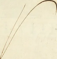 An illustration from M.L. Vitrvuio Pollione Di architettura : dal vero esemplare latino nella volgar lingua tradotto, e con le figure a suoi luoghi con mirãdo ordine insignito : anchora con la tauola alfabetica, nella quale facilmente si potra trouare la moltitudine de vocaboli a suoi luoghi cõ gran diligenza esposti e dichiarati : mai piu da alcuno altro fin al presente stampato a grande vtilita di ciascuno studioso (1535)