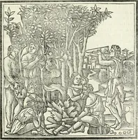 An illustration from M.L. Vitrvuio Pollione Di architettura : dal vero esemplare latino nella volgar lingua tradotto, e con le figure a suoi luoghi con mirãdo ordine insignito : anchora con la tauola alfabetica, nella quale facilmente si potra trouare la moltitudine de vocaboli a suoi luoghi cõ gran diligenza esposti e dichiarati : mai piu da alcuno altro fin al presente stampato a grande vtilita di ciascuno studioso (1535)