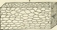 An illustration from M.L. Vitrvuio Pollione Di architettura : dal vero esemplare latino nella volgar lingua tradotto, e con le figure a suoi luoghi con mirãdo ordine insignito : anchora con la tauola alfabetica, nella quale facilmente si potra trouare la moltitudine de vocaboli a suoi luoghi cõ gran diligenza esposti e dichiarati : mai piu da alcuno altro fin al presente stampato a grande vtilita di ciascuno studioso (1535)