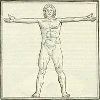 An illustration from M.L. Vitrvuio Pollione Di architettura : dal vero esemplare latino nella volgar lingua tradotto, e con le figure a suoi luoghi con mirãdo ordine insignito : anchora con la tauola alfabetica, nella quale facilmente si potra trouare la moltitudine de vocaboli a suoi luoghi cõ gran diligenza esposti e dichiarati : mai piu da alcuno altro fin al presente stampato a grande vtilita di ciascuno studioso (1535)