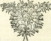 An illustration from Mémoires de littérature tirez des registres de l'Académie royale des inscriptions et belles lettres, depuis le renouvellement de cette Académie jusqu'en 1705 (1717)