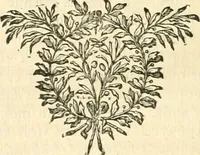 An illustration from Mémoires de littérature tirez des registres de l'Académie royale des inscriptions et belles lettres, depuis le renouvellement de cette Académie jusqu'en 1705 (1717)