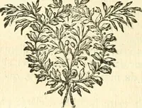 An illustration from Mémoires de littérature tirez des registres de l'Académie royale des inscriptions et belles lettres, depuis le renouvellement de cette Académie jusqu'en 1705 (1717)
