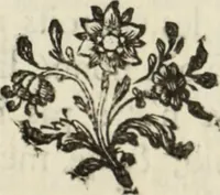 An illustration from Mémoires de littérature tirez des registres de l'Académie royale des inscriptions et belles lettres, depuis le renouvellement de cette Académie jusqu'en 1705 (1717)